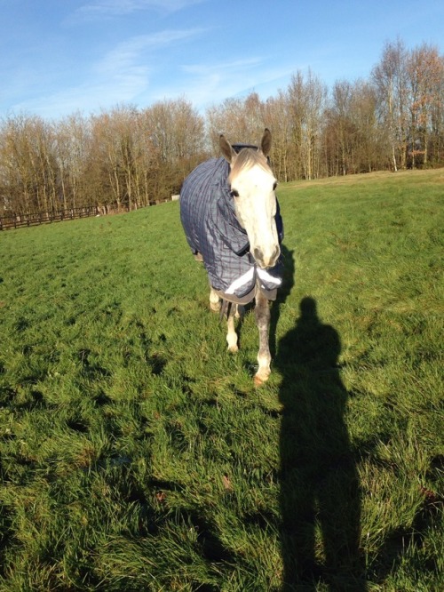 Someone was happy to finally go out onto all the new grass in the winter paddocks