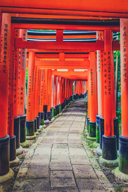 fushimi inari taisha