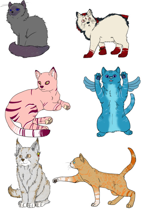 talktoturquoise:  Thank you all for over 200 followers! :D Made everyone kitties as a tribute to Turquoise’s love of cats. Birman, Cymric, Flamepoint, Mackerel, Mainecoon, and Savannah kitties. Featuring:  asktwirlybug, askpeonyponi, askqueenluna,
