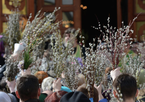 cycnsw:Palm Sunday celebrations 