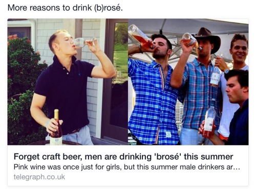 starquack:  feigenbaumsworld:  nudityandnerdery:  meghanwaslike:  rageturtleswaggg:  barbelllift-and-fooditem:  thejurassicjuan:  firelordsarah:  Omfg drinking wine is too feminine for you that you gotta call it “brosé” grow up  i can’t believe