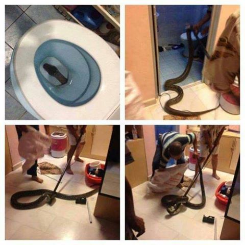holybazookas:  This is one of my greatest fears in life