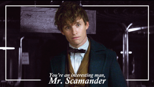 newton scamander