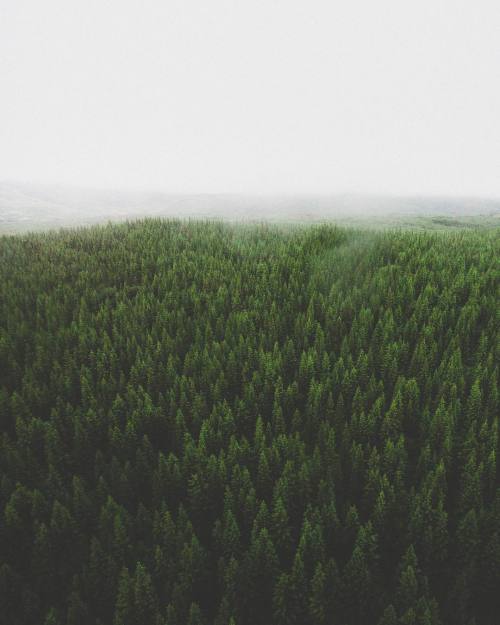 delta-breezes:  Benjamin | @benjaminhardman