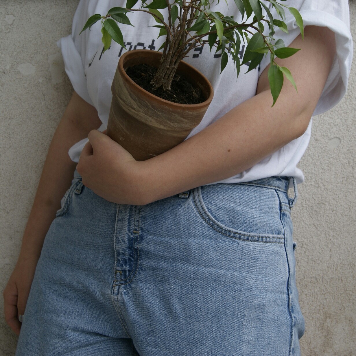 olivekiddo:  archive mb for @peary-sweet