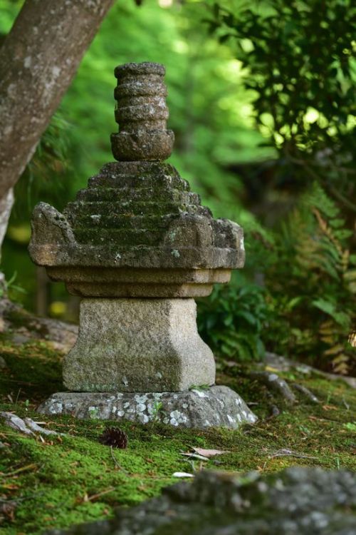 norisunorin:奈良県　奈良公園　 Nara Narapark   