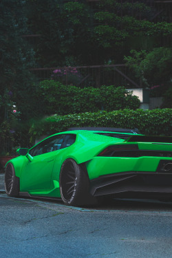 avenuesofinspiration:  Mantis Huracan | Source © | AOI