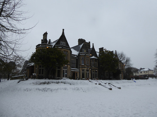 Insole Court in the snow yesterday