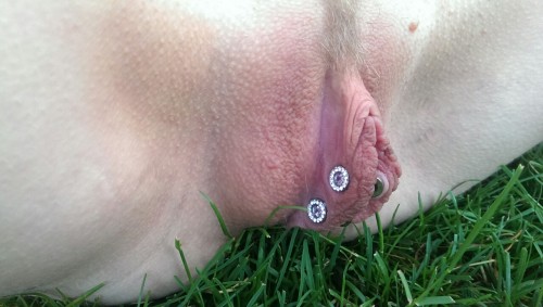 pussymodsgalore: pussymodsgalore Lovely pierced alfresco pussy, prominent inner labia with what cou