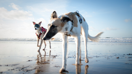 Here are some fun pictures taken at the beach from last Friday! A lot had happened and I want to tha