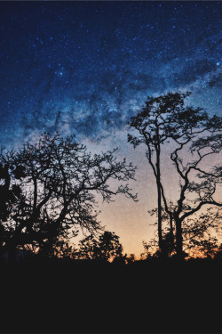 lsleofskye:  Milky Way I