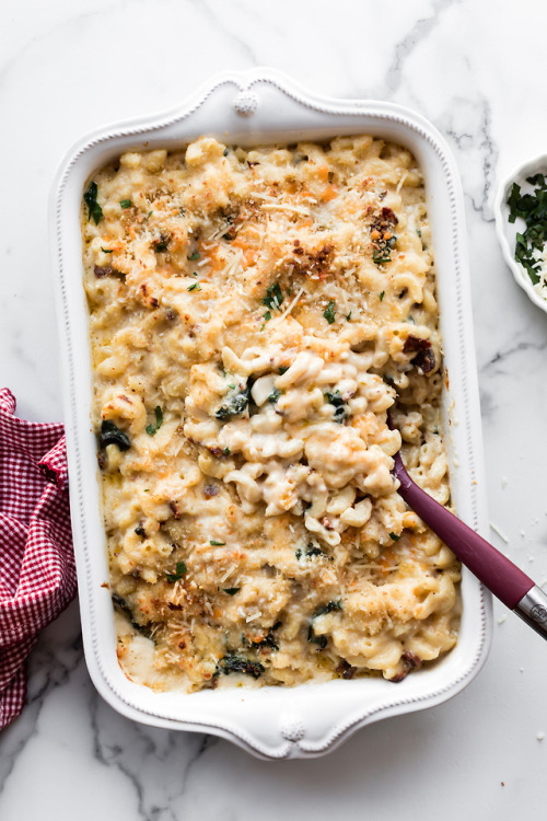 sallysbakingaddiction:Company-Worthy Mac and Cheese Recipe Keep reading