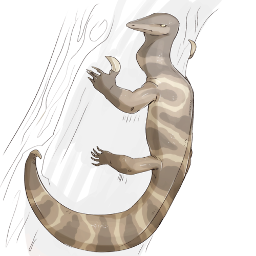 trackalaka:  Not-dinovember continues! Day 11-20 Whoaaaa Inostrancevia - Tanystropheus - Shastasauru