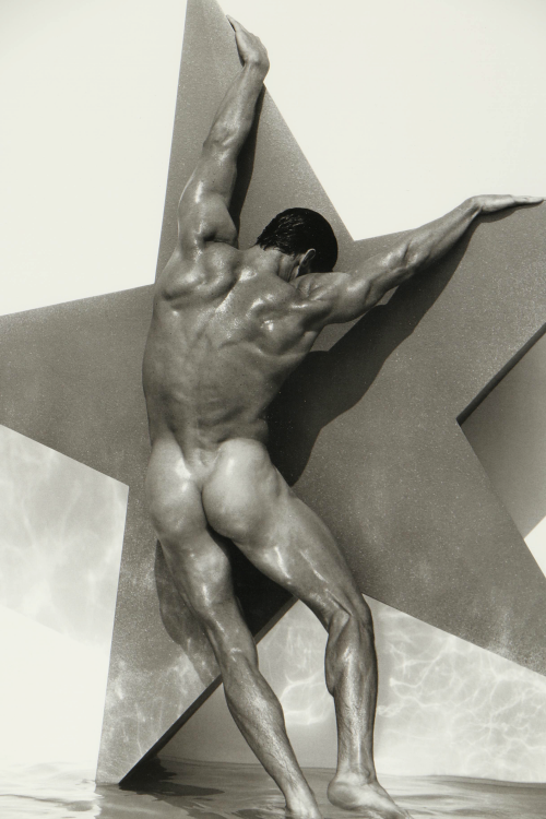 ohyeahpop:  Male Nude with Star, Hollywood,