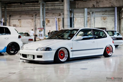 TOTALGEARHEAD