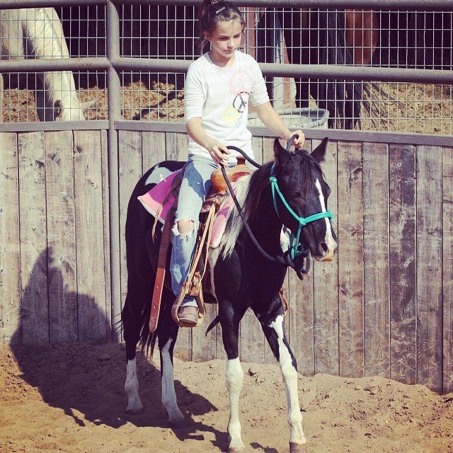 Isn’t this the cutest pony ever? Crow is coming 3 yrs old $500 call or text 254-433-0806 #cowboy4sale #paintedpony #pony #tnthorses #tntranch (at TnT Ranch & Tom Davis Horsemanship)