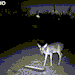 lemon&ndash;berry:thatsoup:deerstar4:deerstar4:They call me pillsbury the way