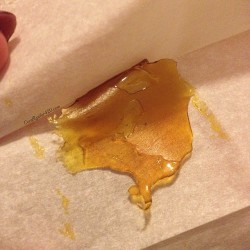 coralreefer420:  Grassroots SF @golddropco