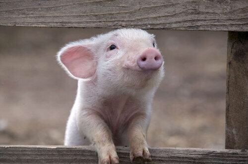 awwww! Cute!