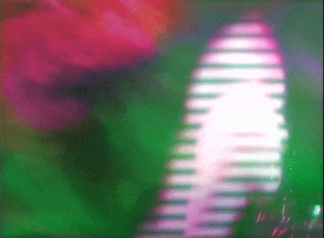 721802c836eb50963d1f8b4b1e2e8f9140f4e41a.gif