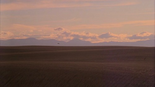 master-shots:  Days of Heaven (1978) DP: porn pictures