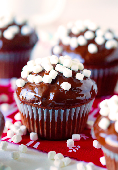 Sex do-not-touch-my-food:  Hot Cocoa Muffins pictures