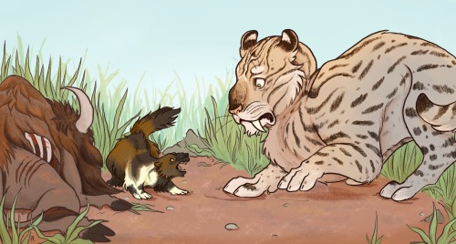 A Commission Of A Smilodon Being Harried Away From A Meal By A Wolverine.