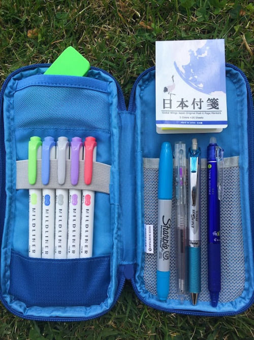 My pencil case is a large Lihit Lab Smart Fit Double Pen Case in blue. The white pouch is narrow but