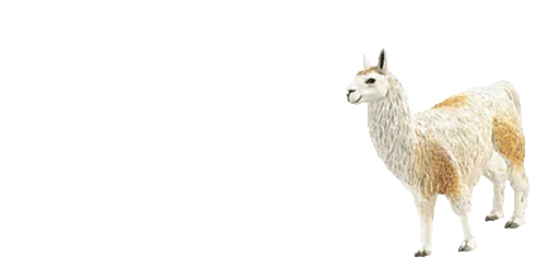 Kitten Rain I believe you need a walking llama in your blog