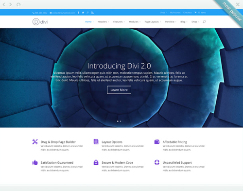 Divi WordPress premium theme. Professional design from business &hellip;Divi Theme