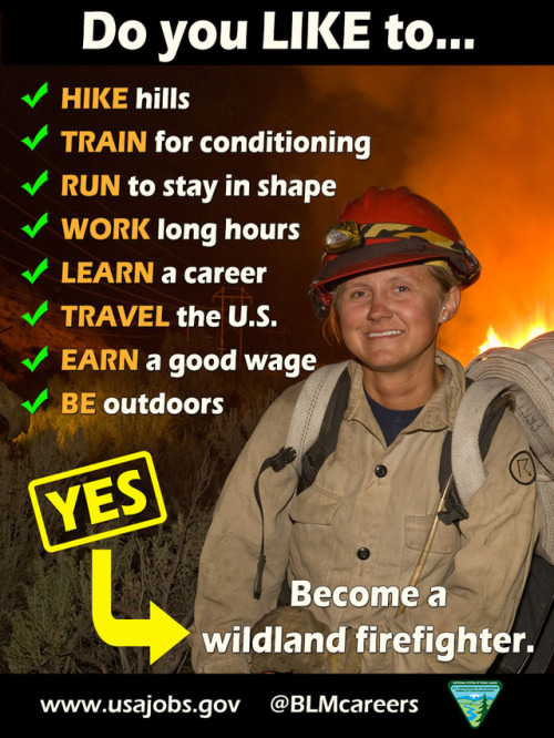 mypubliclands: #NotYourOrdinaryJob: So you want to be a wildland firefighter… Do you enjoy the outdoors? Looking for adventurous career? Want a job that challenges you physically? A wildland firefighting job might be for you!  Wildland firefighters