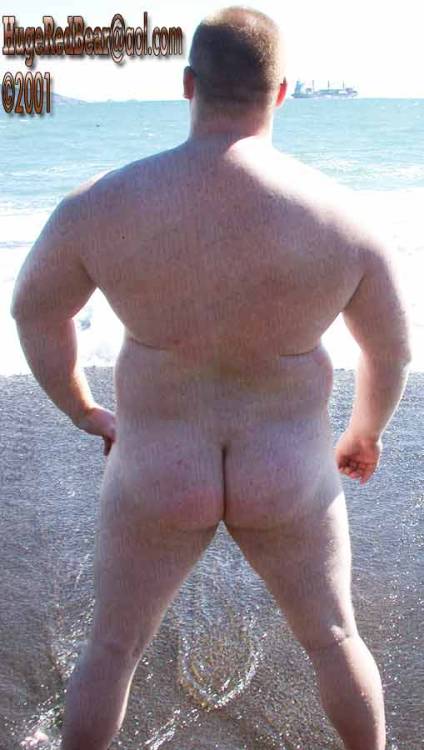 thebigbearcave:  Huge Thick Ginger Bear 