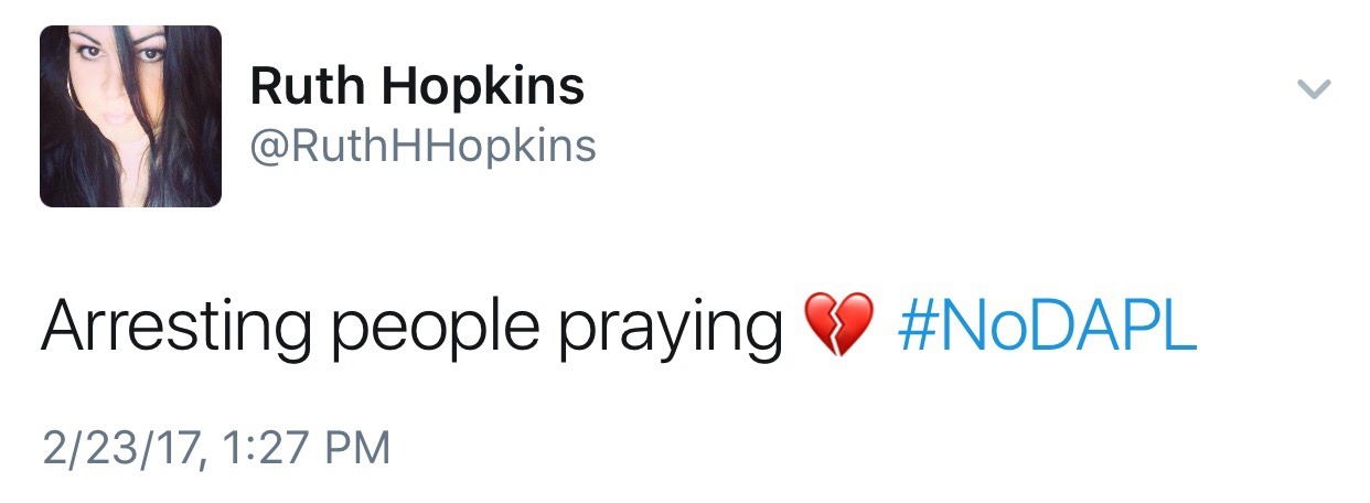 nativenews: Ruth Hopkins updates on the illegal evictions at Standing Rock    [TWEET