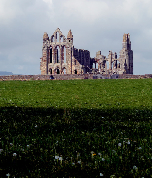 heaveninawildflower:The ruins of the Benedictine abbey of St Hilda. Whitby. North Yorkshire. May 201