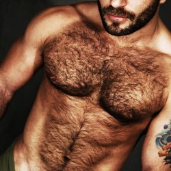 campusbeefcake:  mmm torso