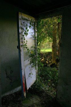 bluepueblo:  Door to the Past, Fahan, Ireland