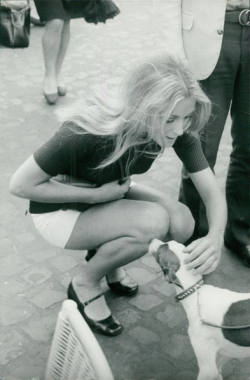  Sharon Tate, Cannes 1968 