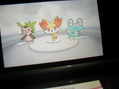 tryingtostopanecho:here, have a set of pictures I’ve sent to my 3DS.