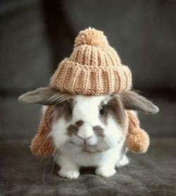 babygirlssweetsurrender:  Bundle up people. Make sure all your parts are warm and cozy.  :-D