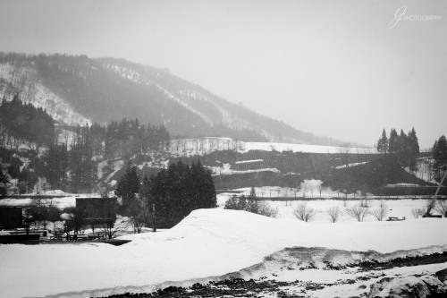 shirakawago