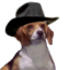 porthos-stew