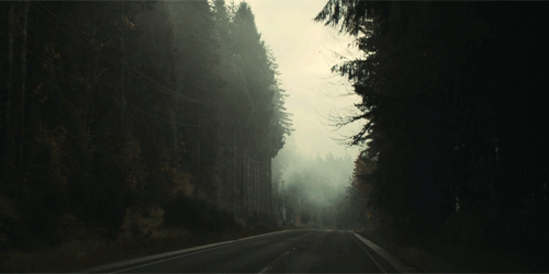 canhappenlove:  ♛  -|Pale.