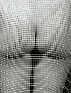 Nude And Mesh, Marcel Mariën, 1985