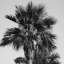 sierramist