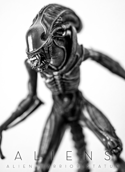 Aliens: Alien Warrior Statue