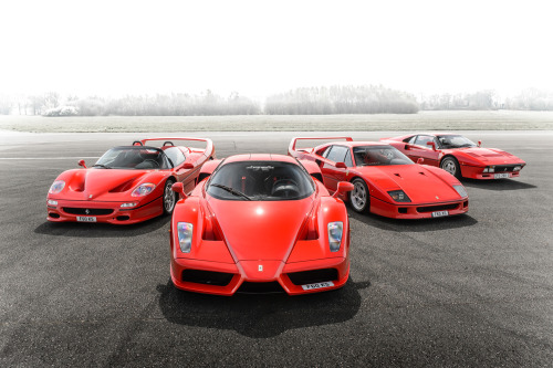 Ferrari F50, Enzo, F40 & 288 GTOBy: James Lipman