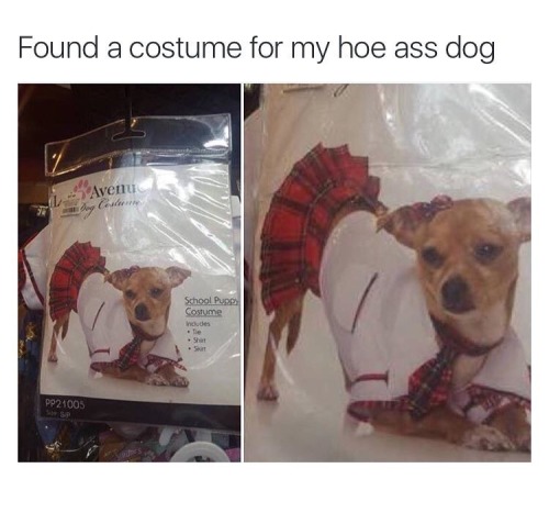 https://good-dog-girls.tumblr.com/post/158107640768