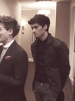 thezeeknd:  1/∞ times when zayn has looked at his bandmates like they’re idiots