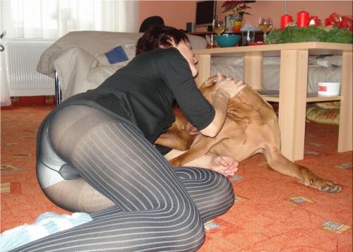 Woman in black stripped pantyhose over white panties playing with her dog.Woman in pantyhose