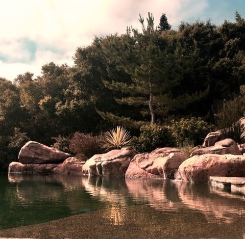 Infinity In San FranciscoIdeas For A Large Rustic Backyard Remodel With A Specially Shaped Infinity Pool
